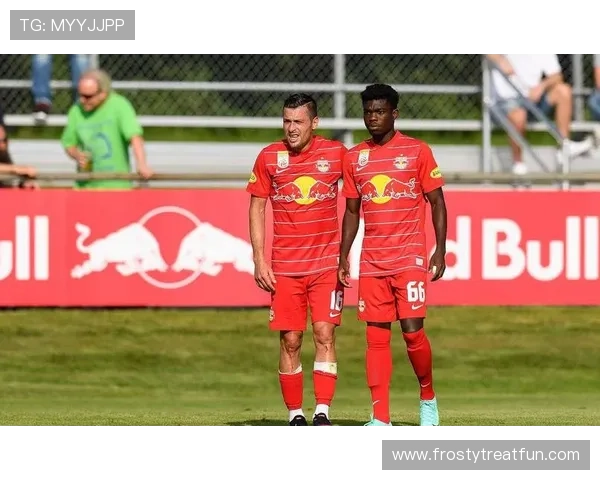 弗赖堡本赛季数据分析：防守稳固，主场表现稳健